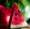 sliced_watermelon-855.jpg