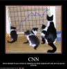 cnncats-711065.jpg