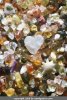 مجموعة من حبات الرمل منتقاة من كل انحاء العالم , ويلاحظ أن أحدها تتخذ على شكل قلب.jpg